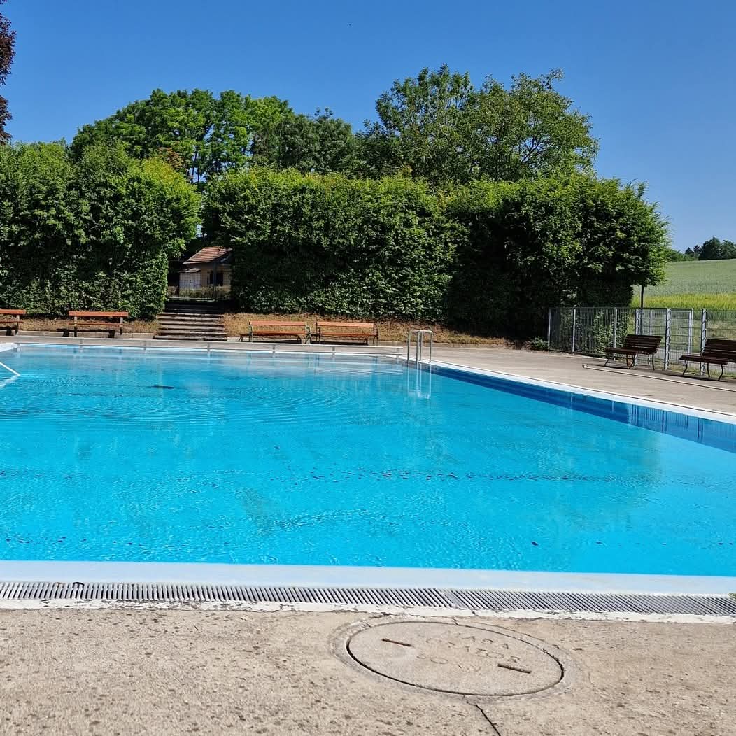 Der Teich aus der Nähe